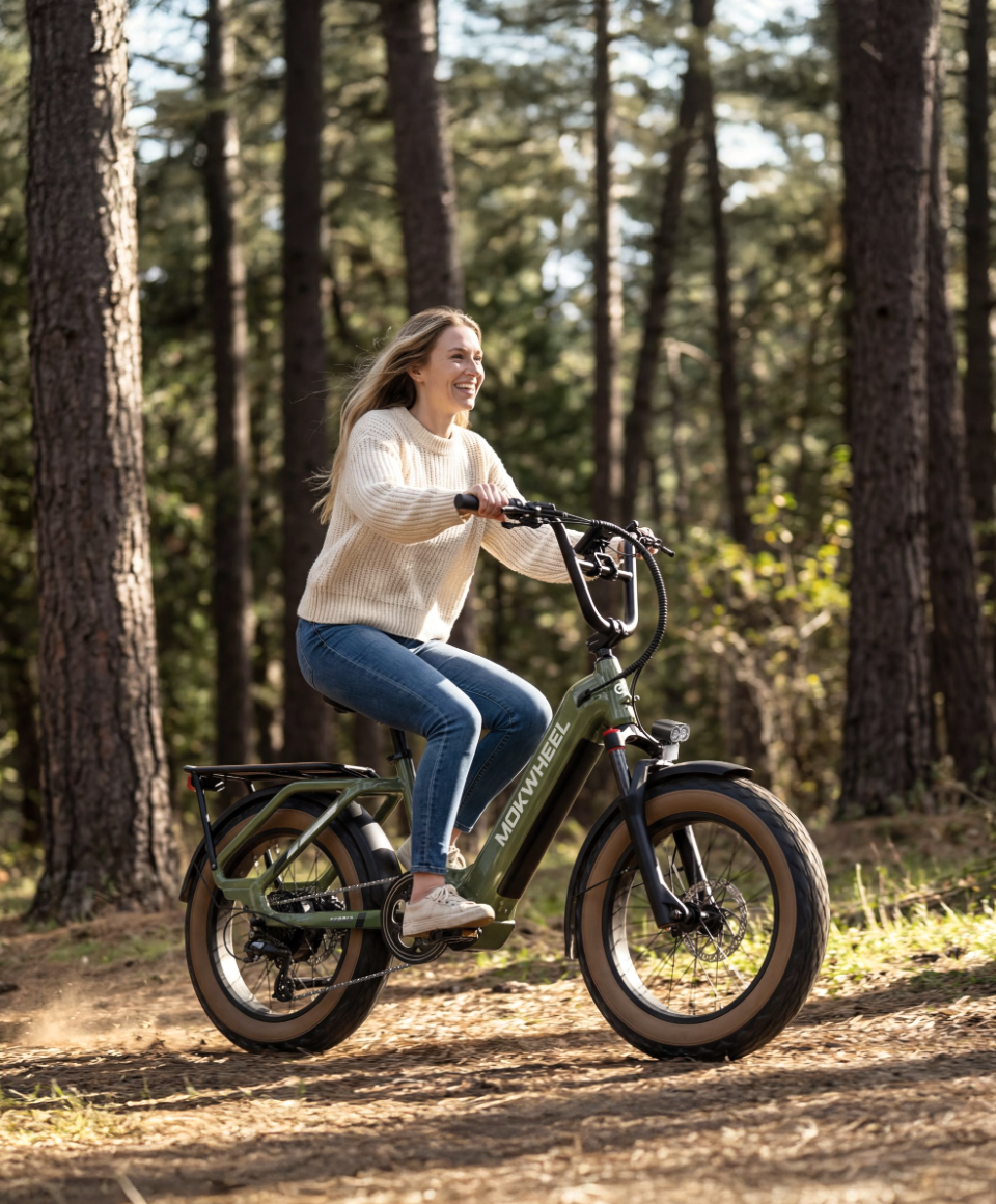 Scoria 2.0 Ebike feature 1 #Color_Olive Green