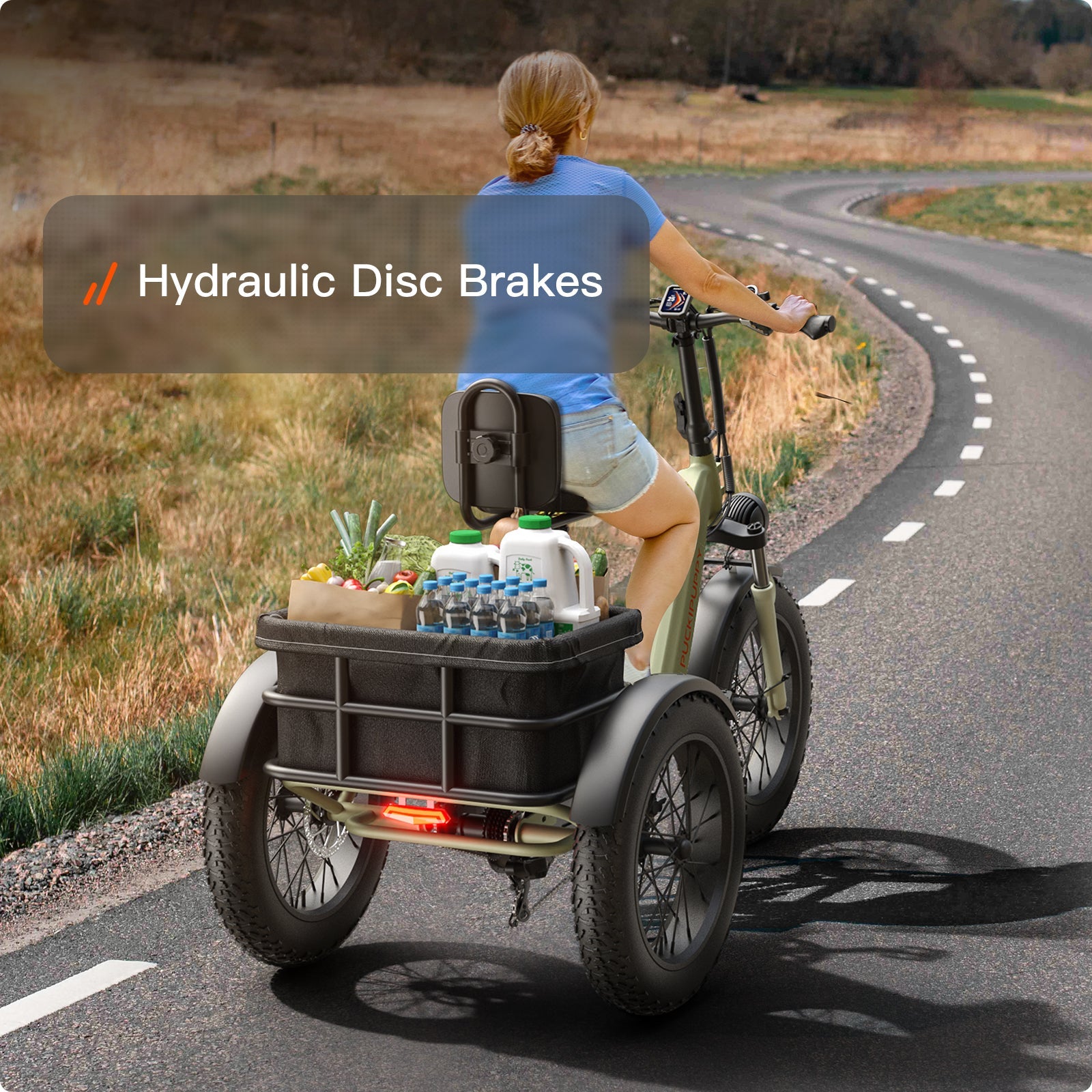 Husky Etrike #Color_Archive