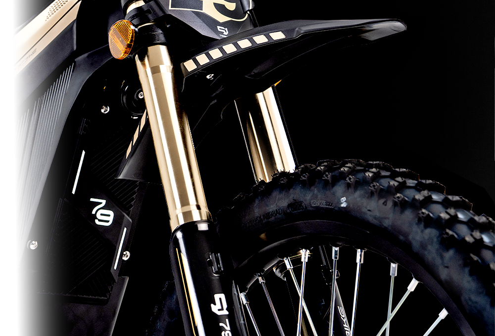 79BIKE-Lynx feature 12 #Color_Black/Gold