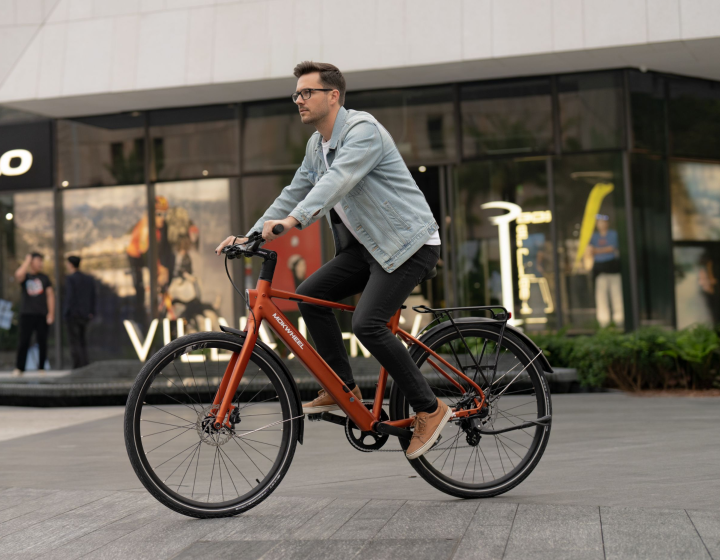 FLINT ST Ebike feature 2 #Color_Archive