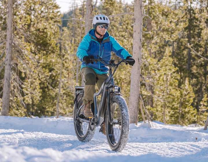 Tor Plus Ebike feature 2 #Color_Green