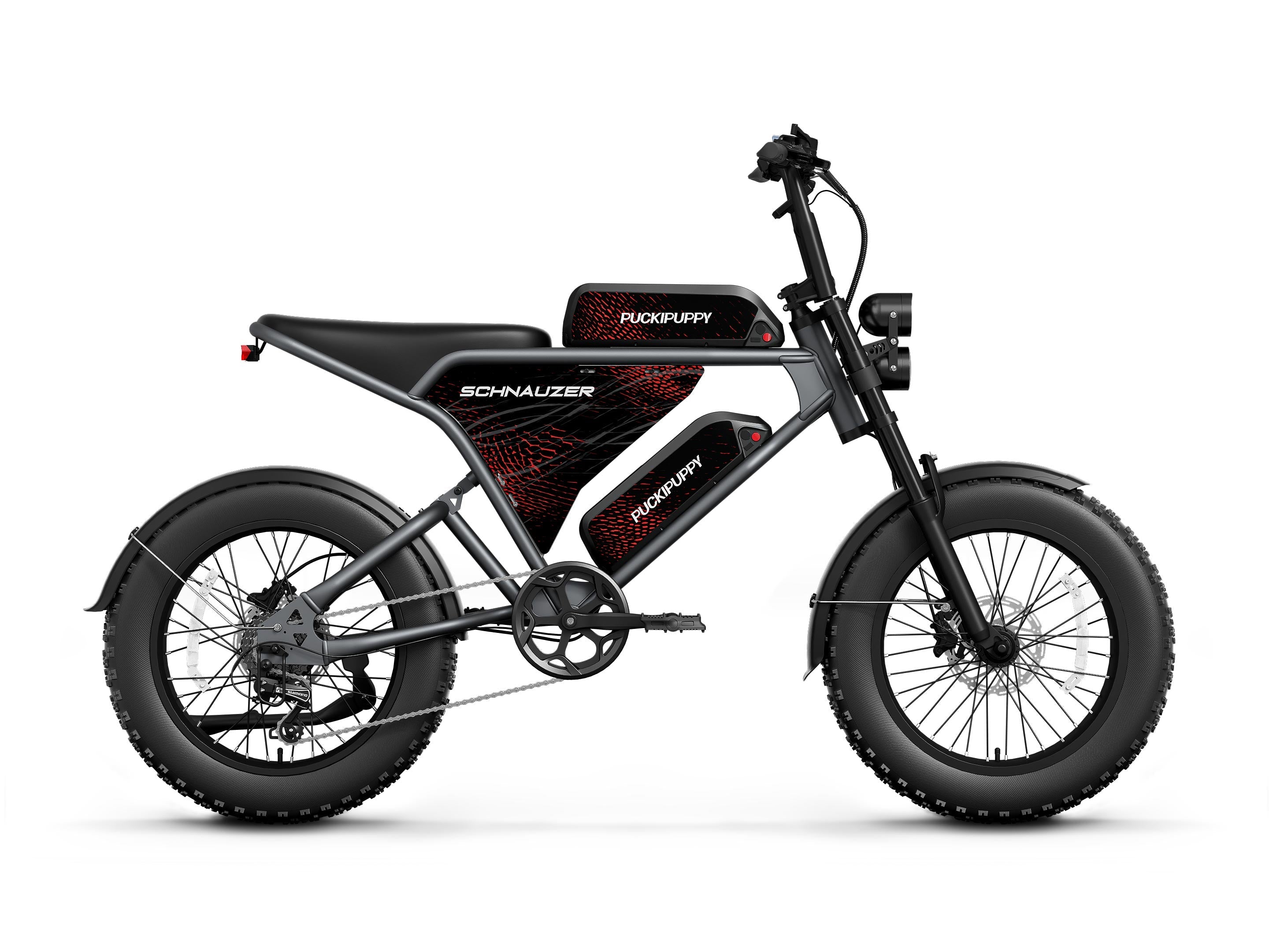 Schnauzer Plus Ebike #Color_Archive