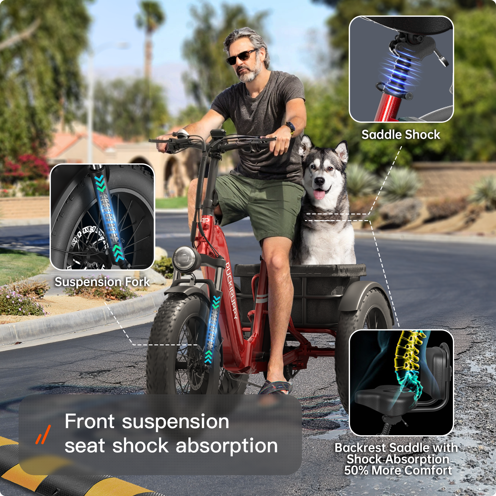 Husky Plus Etrike #Color_Gray