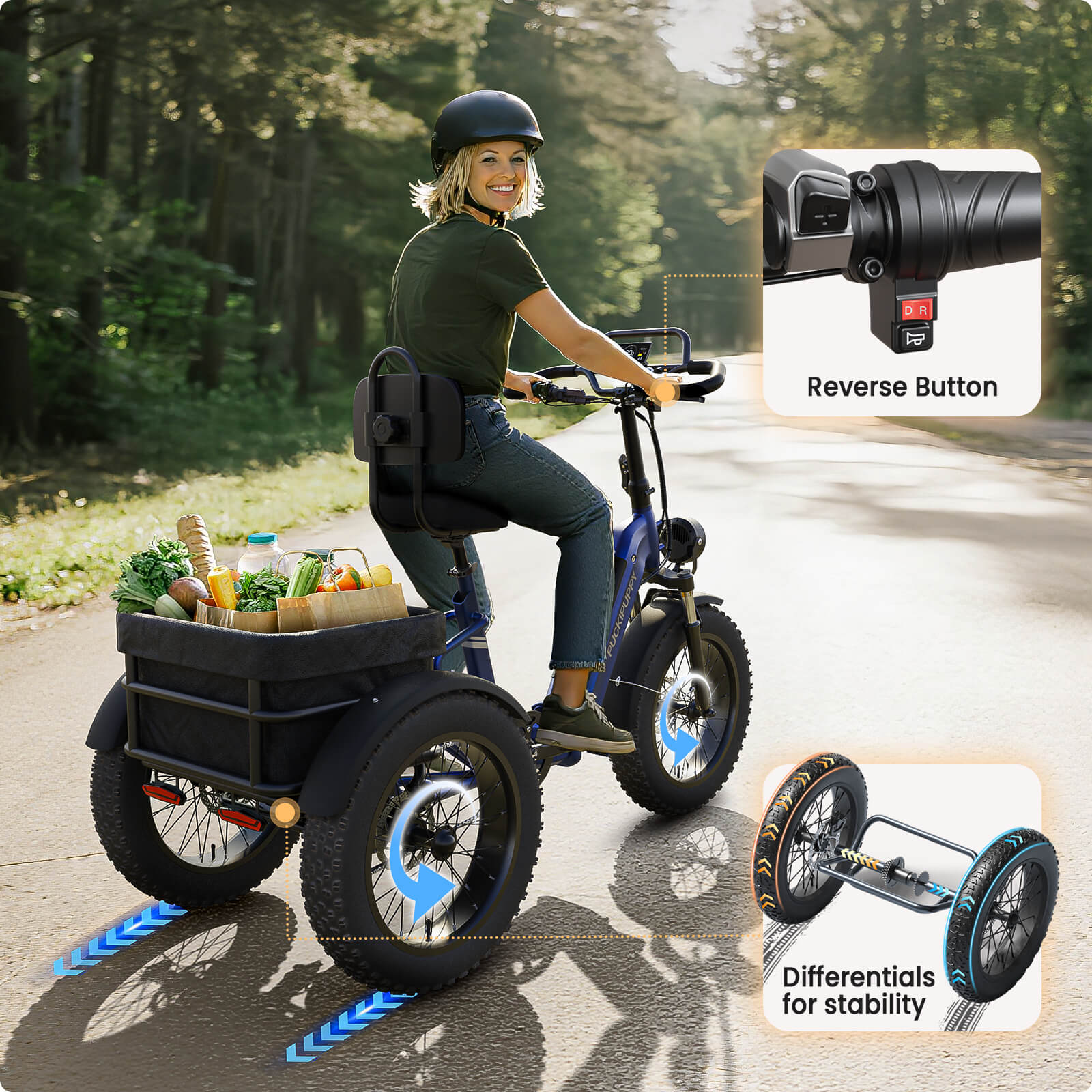 Rottweiler Etrike #Color_Blue