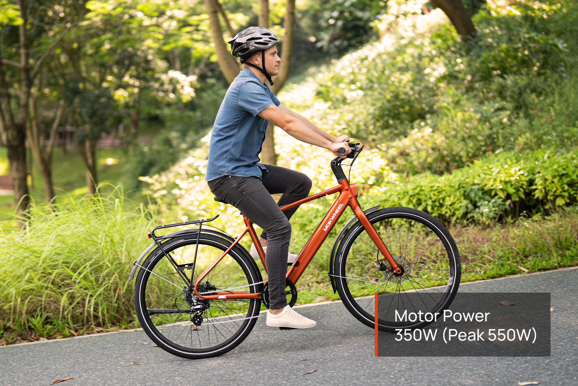 FLINT ST Ebike #Color_Archive