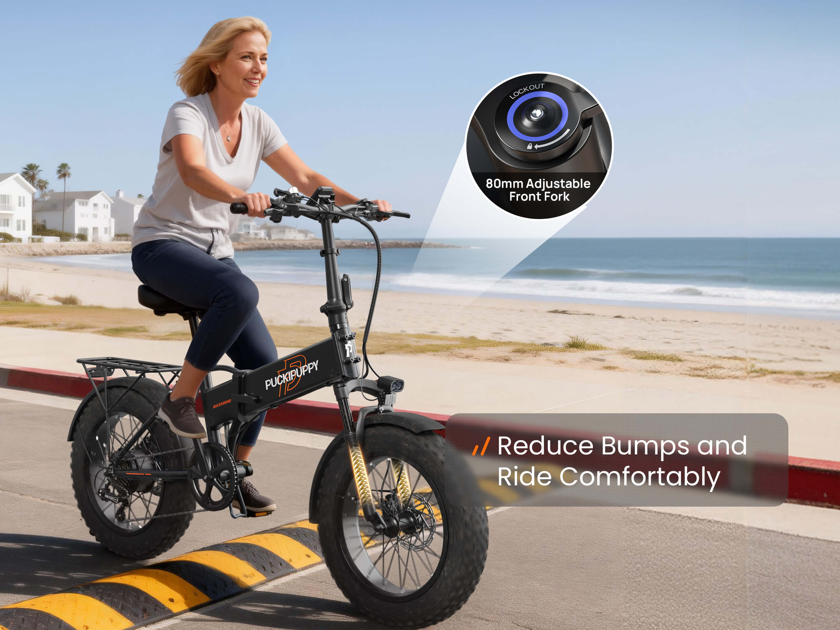 Dachshund Ebike #Color_Black