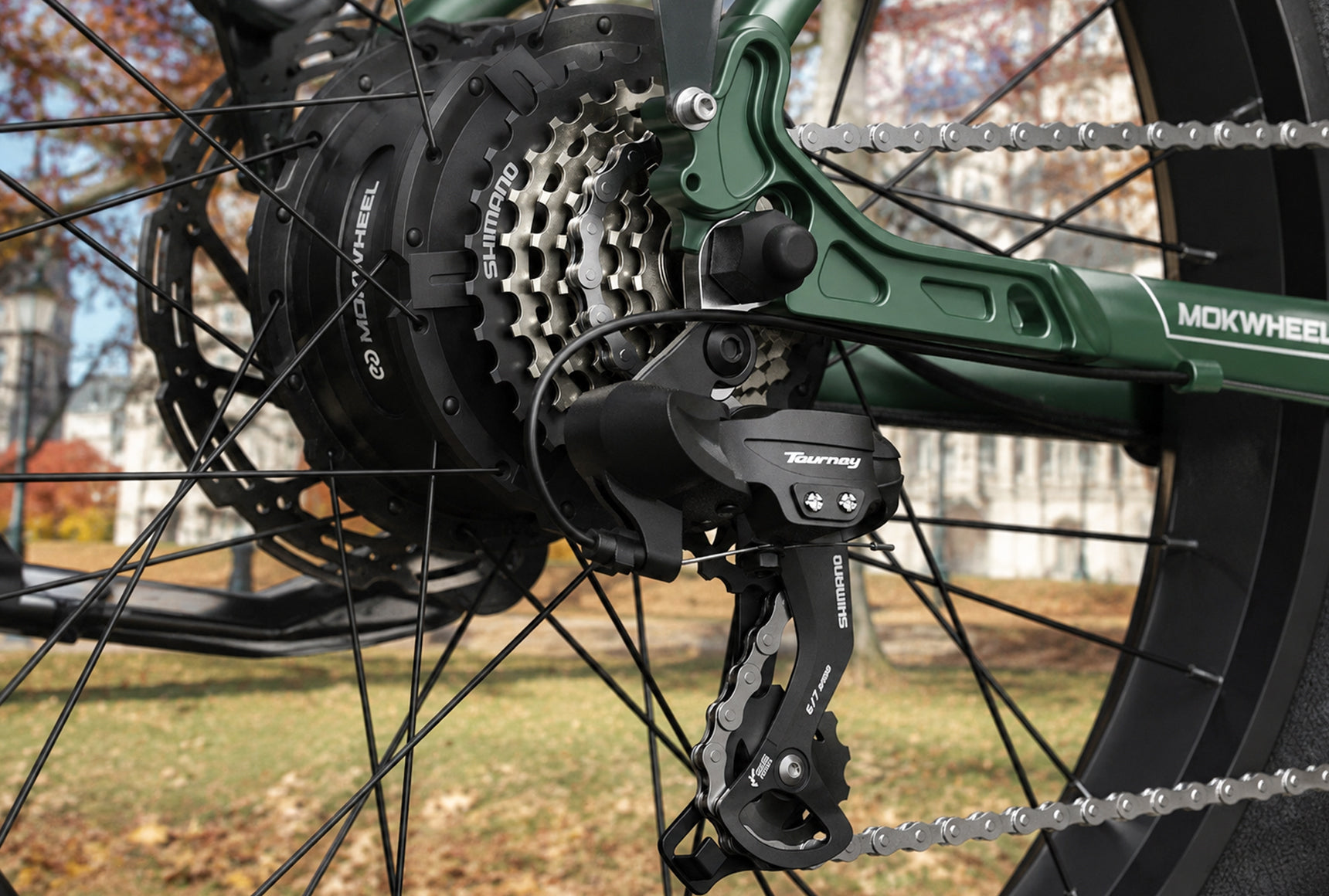 Tor Plus Ebike feature 4 #Color_Green