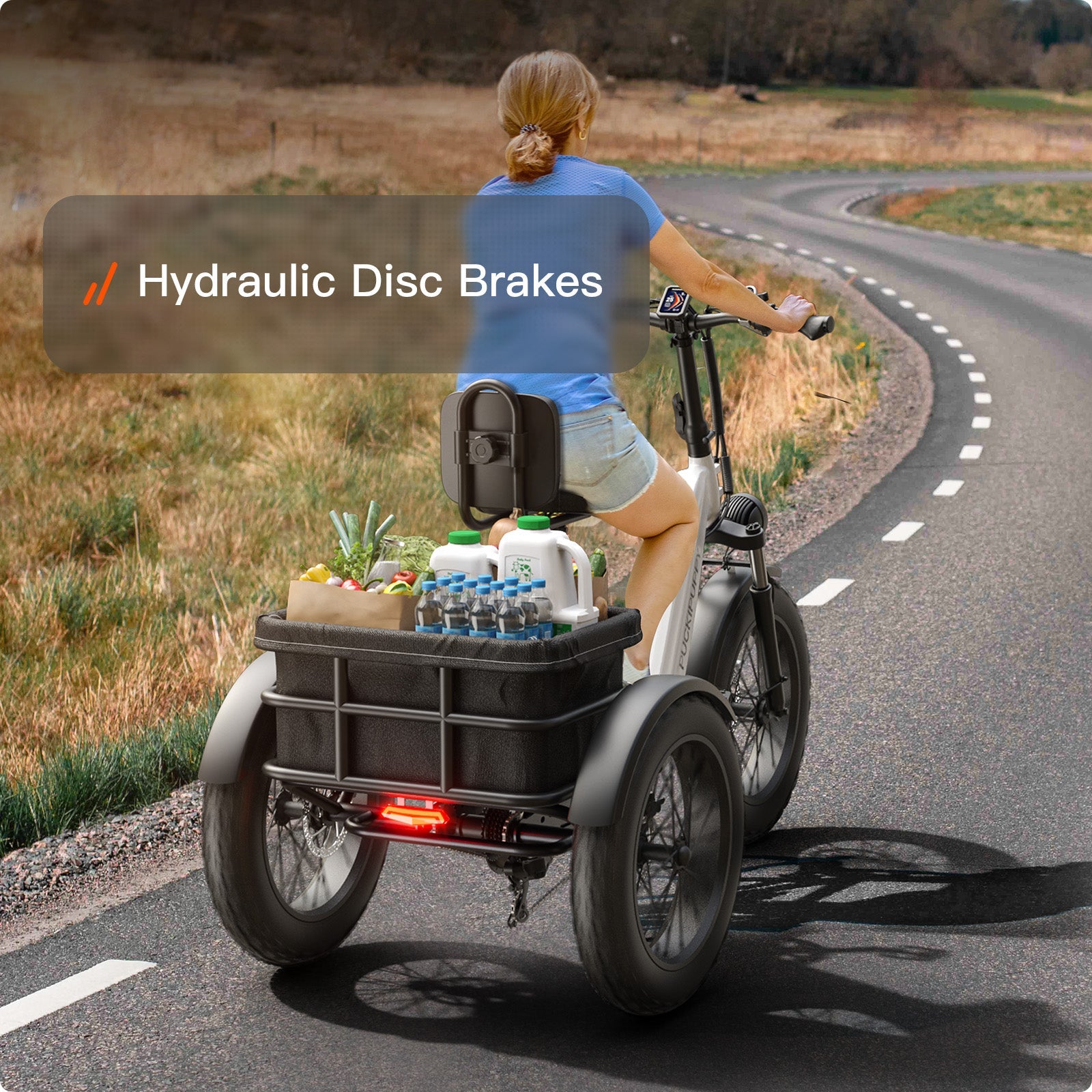 Husky Plus Etrike #Color_Archive