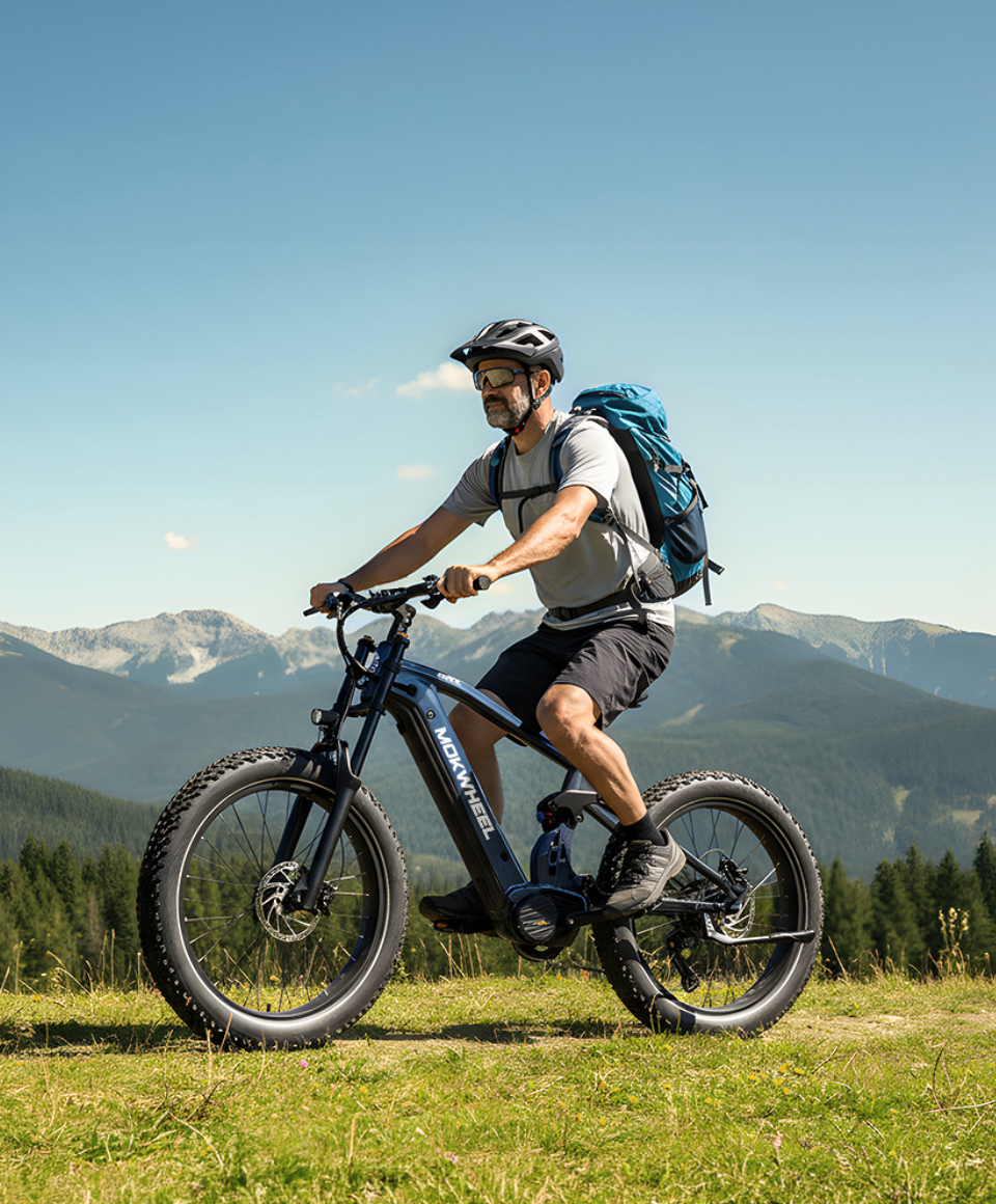 Onyx Ebike feature 1 #Color_Black and Blue