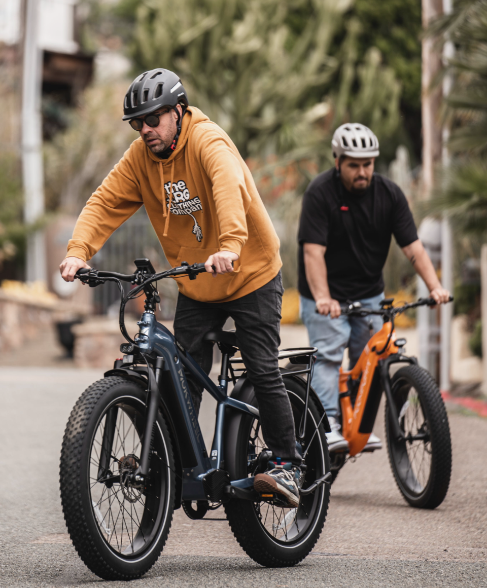 Basalt 2.0 Ebike feature 1 #Color_Archive