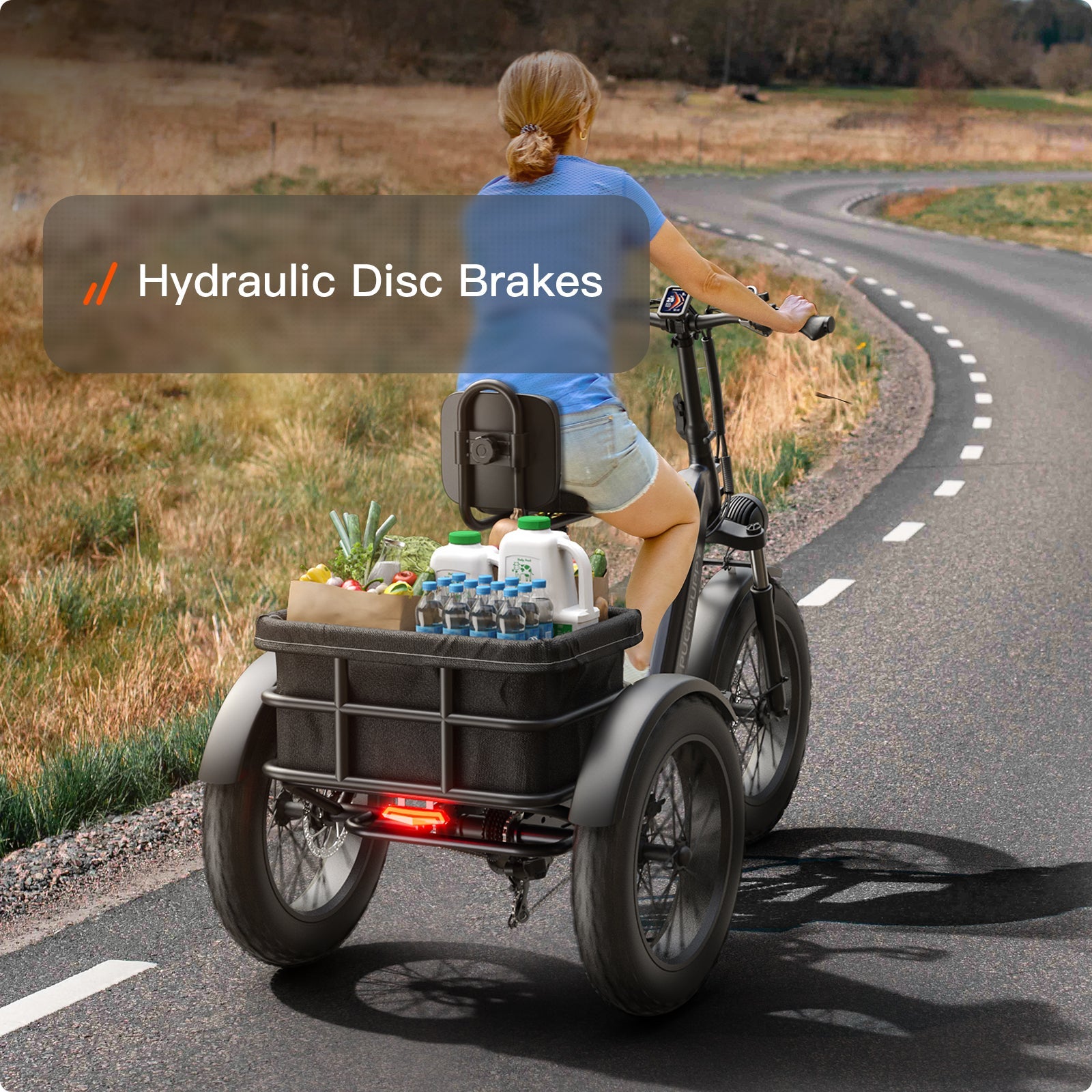 Husky Plus Etrike #Color_Gray