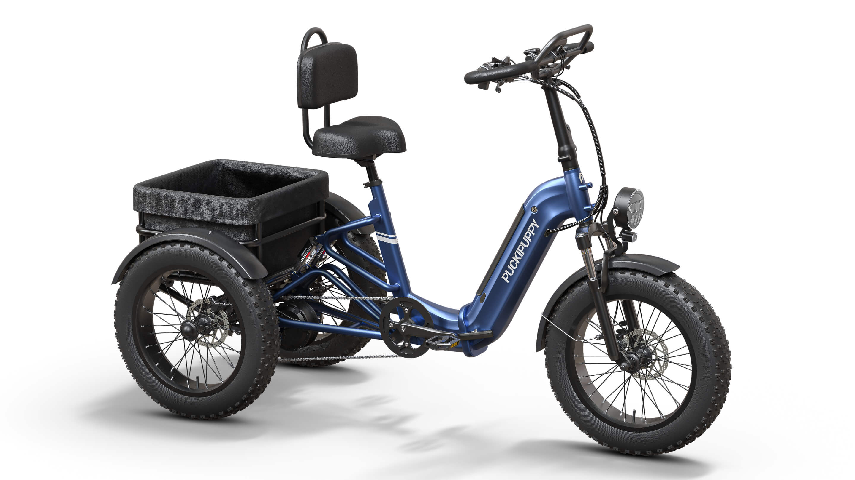 Rottweiler Etrike #Color_Blue