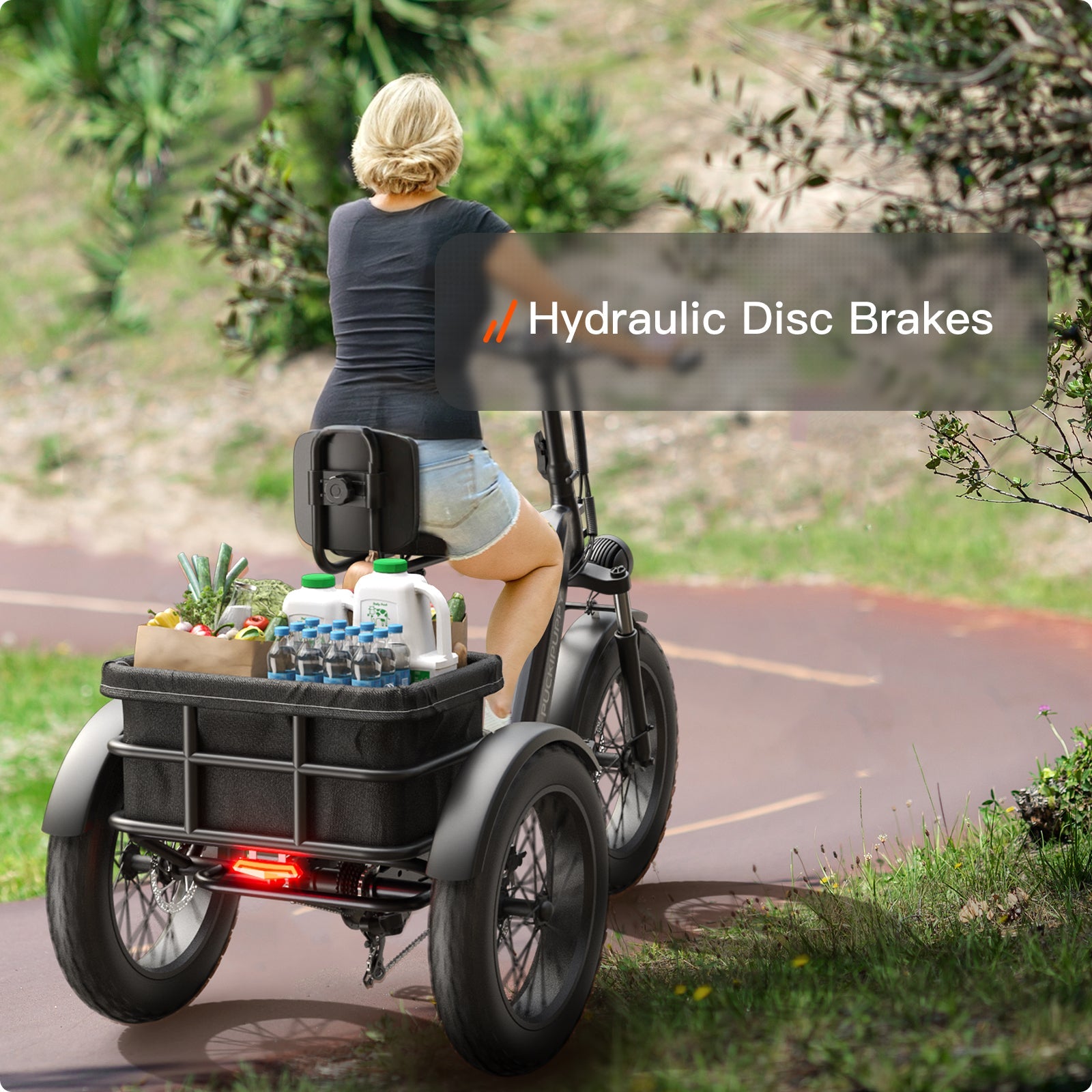 Husky Plus Etrike #Color_Gray