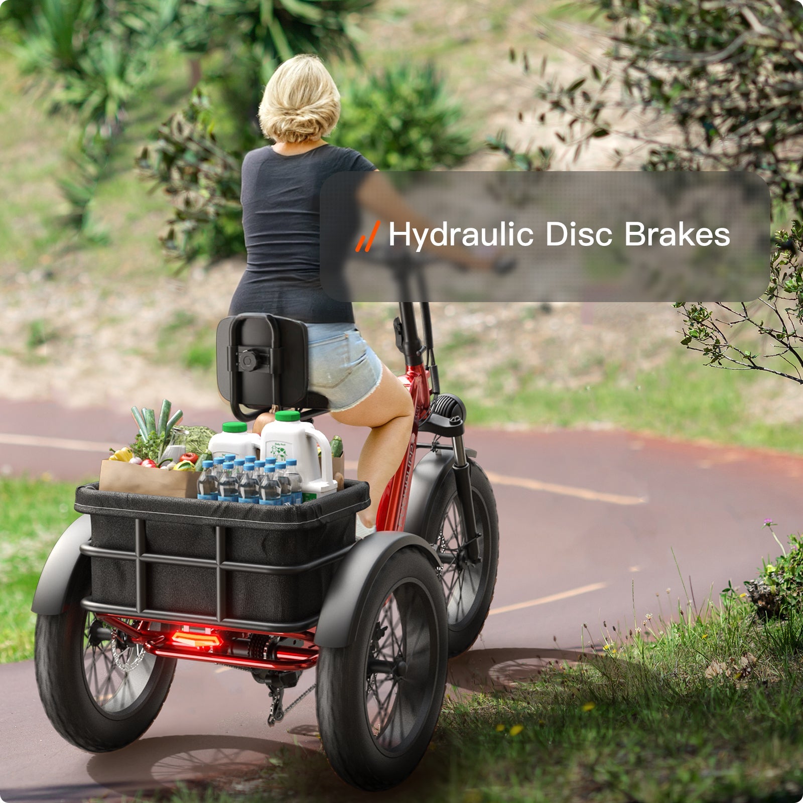 Husky Plus Etrike #Color_Gray