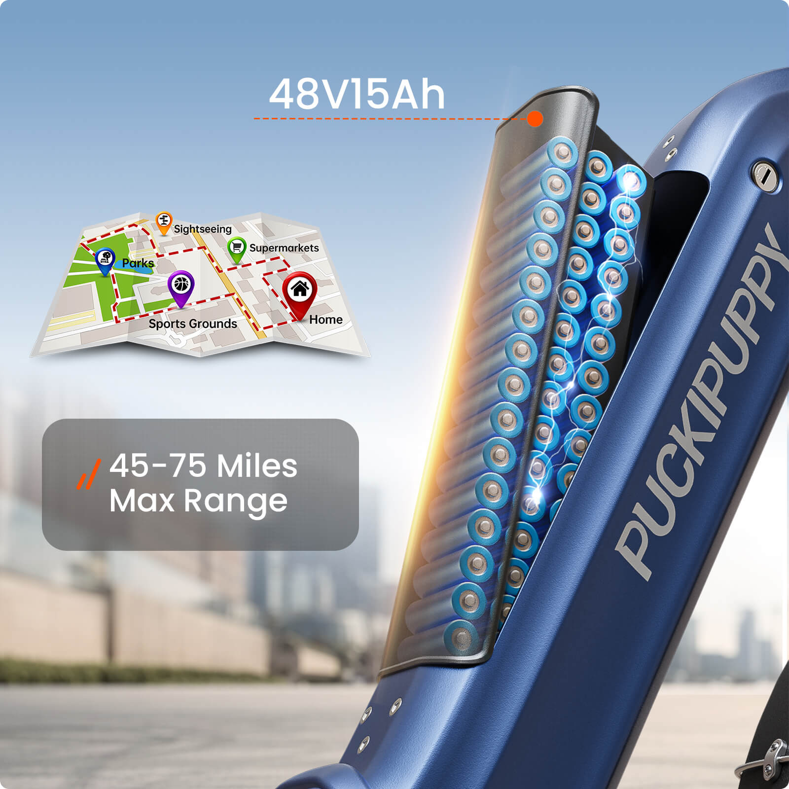 Rottweiler Etrike #Color_Blue