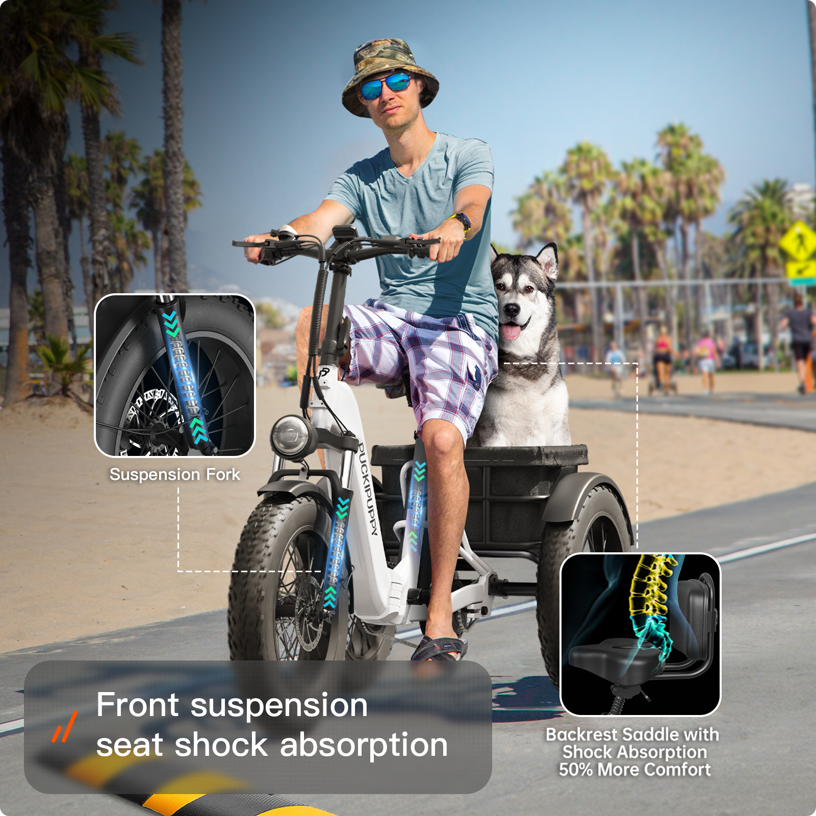 Husky Plus Etrike #Color_Archive