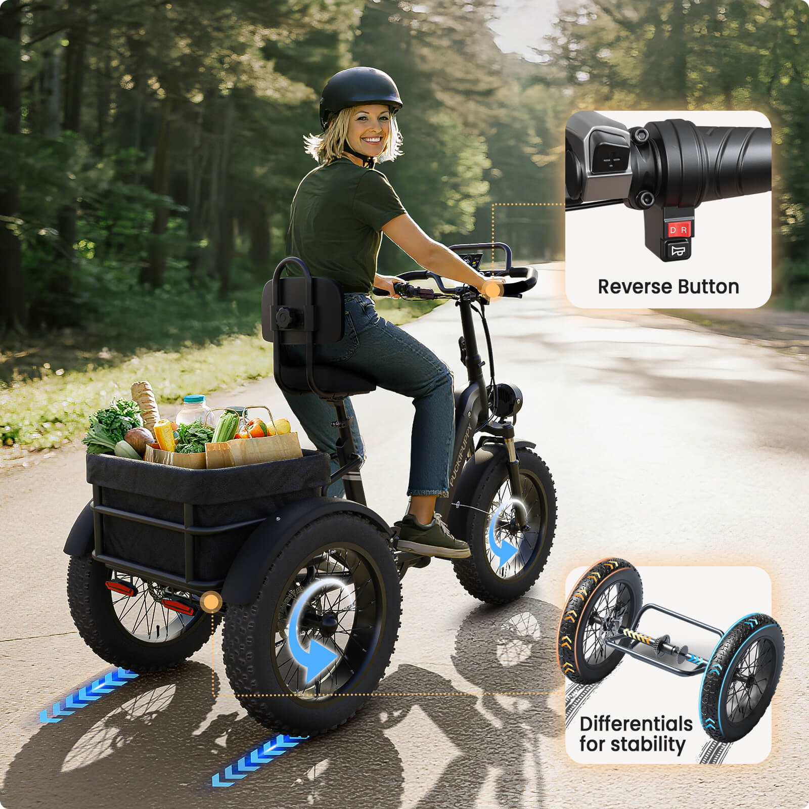 Rottweiler Etrike #Color_Black