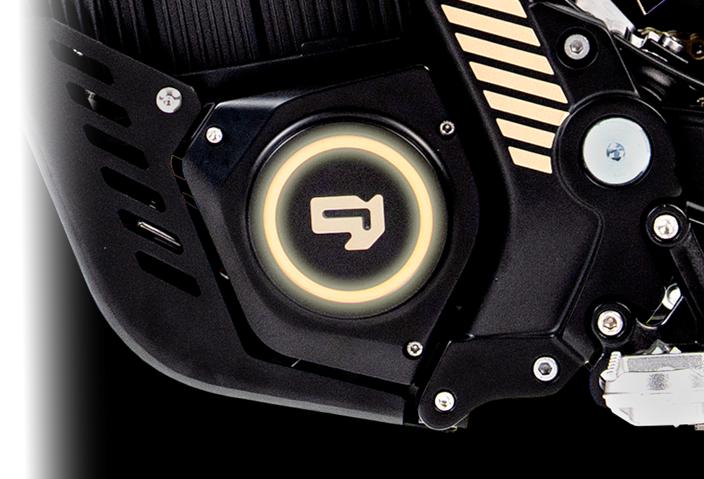 79BIKE-Lynx feature 9 #Color_Black/Gold