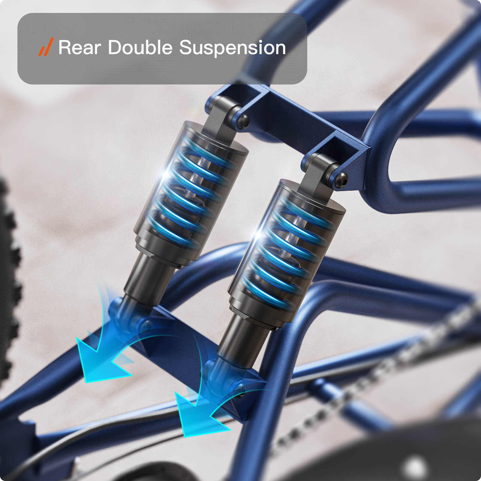 Rottweiler Etrike #Color_Blue