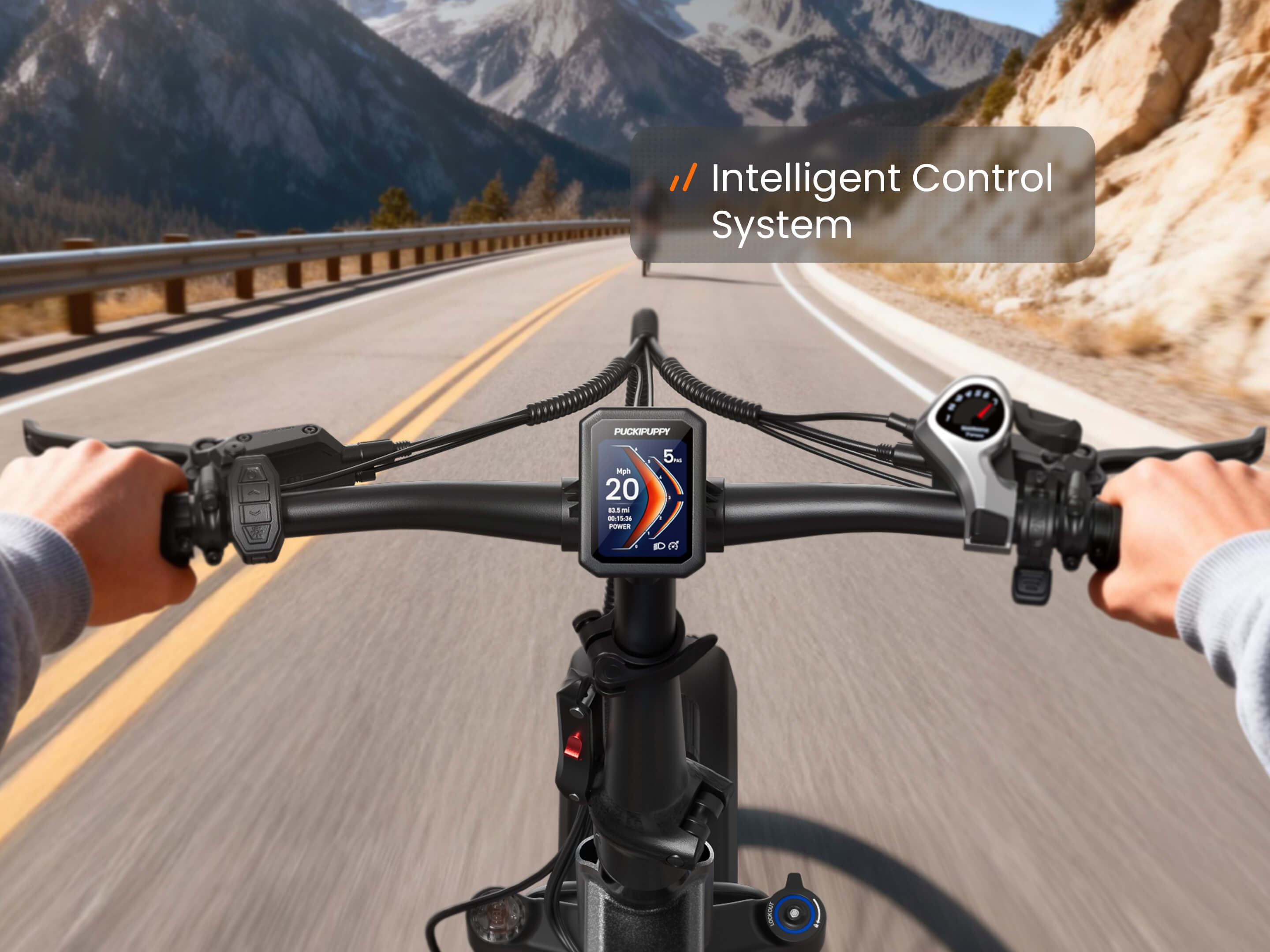 Dachshund Ebike #Color_Black