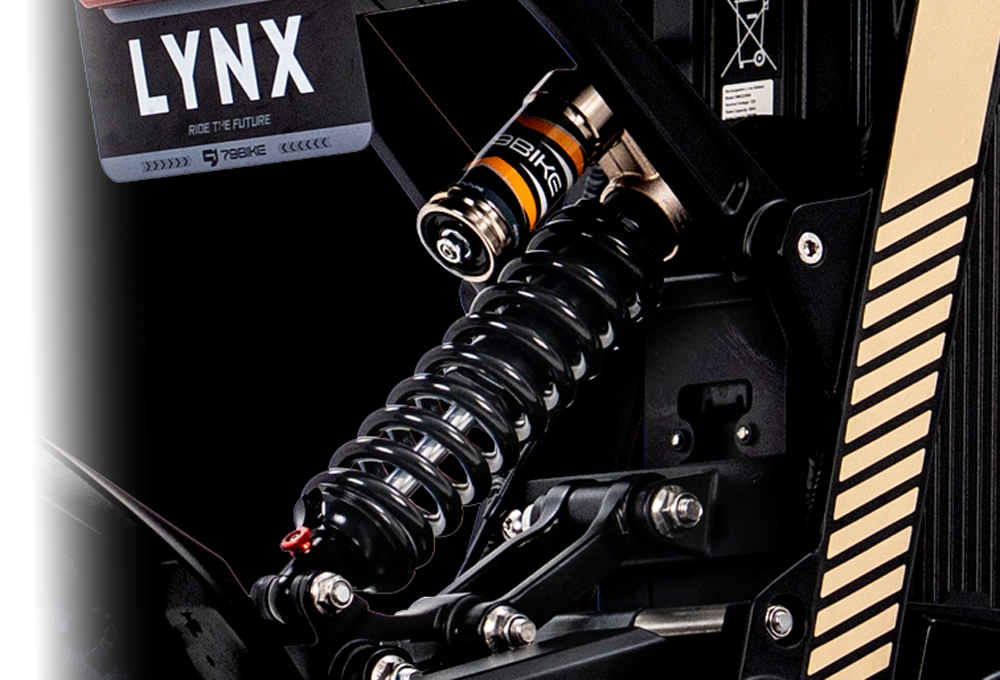 79BIKE-Lynx feature 15 #Color_Black/Gold