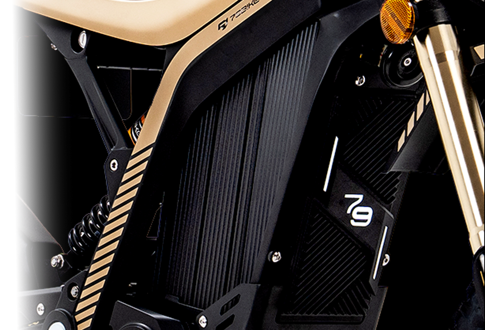 79BIKE-Lynx feature 3 #Color_Black/Gold