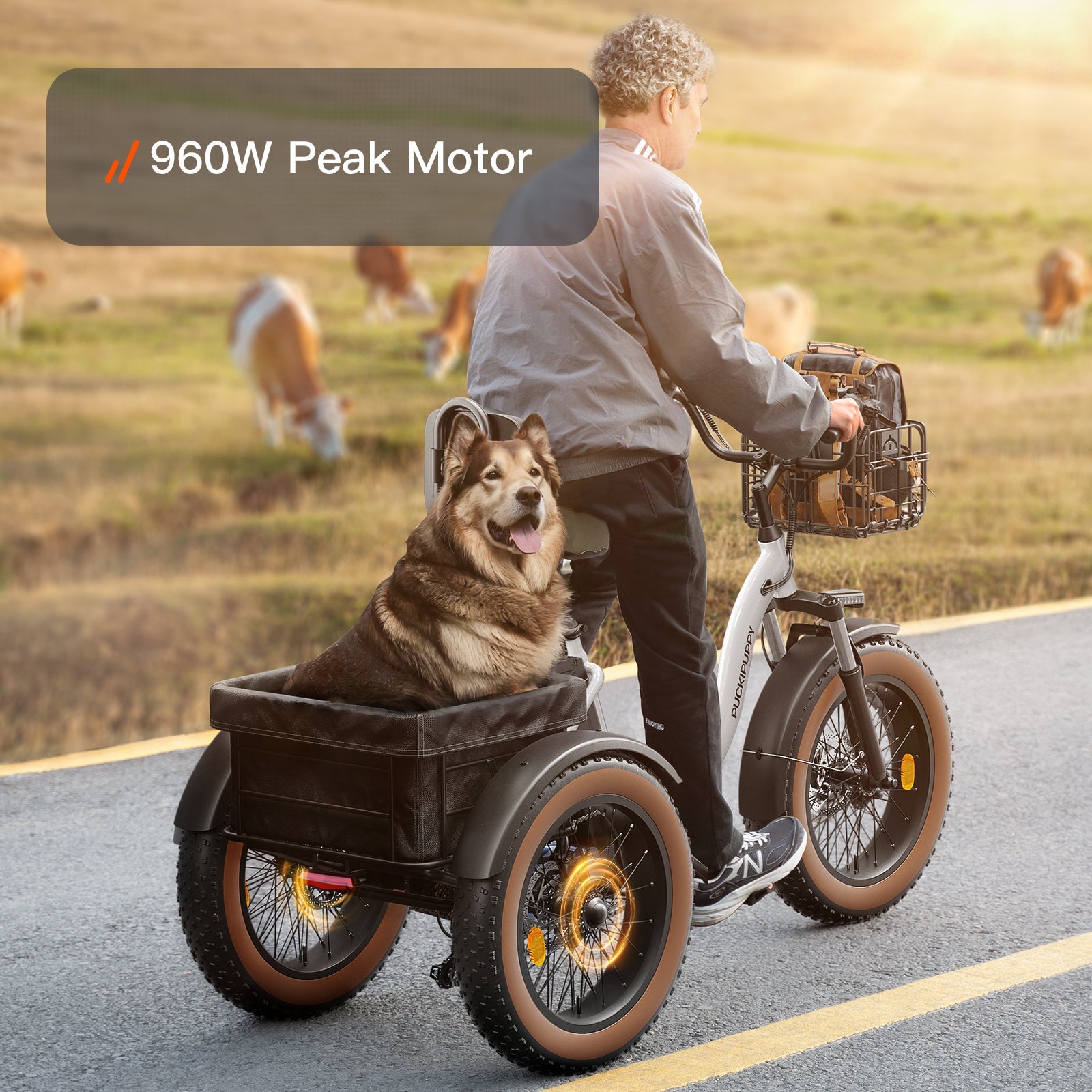 Alaskan Etrike #Color_Black